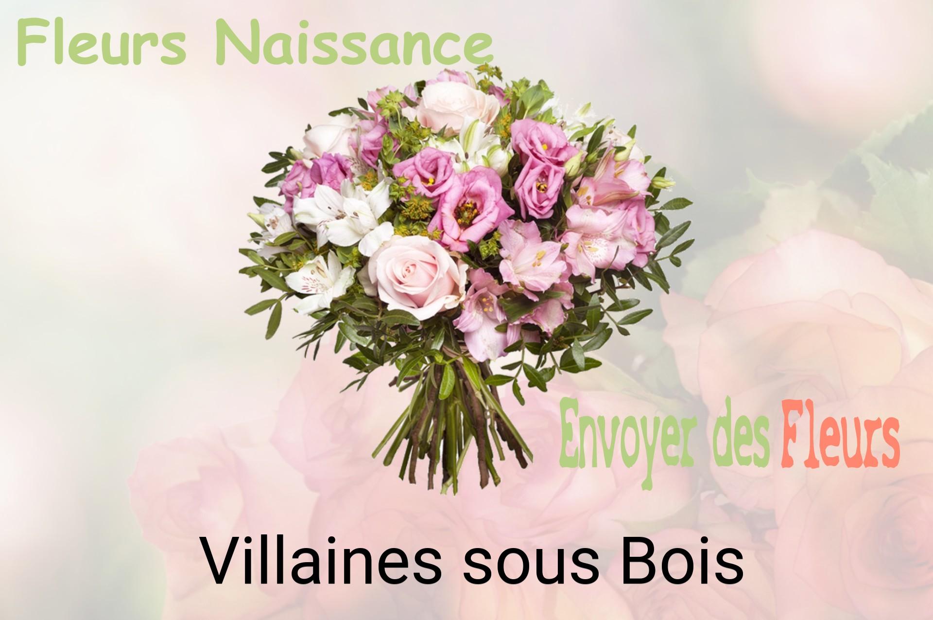 Bouquet de fleurs de naissance livré à Villaines-sous-Bois