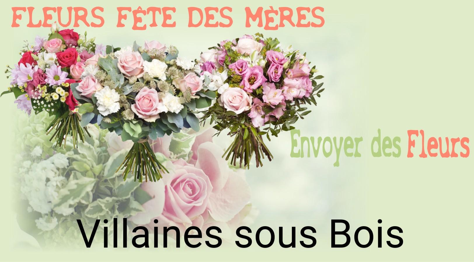 Bouquet de Fête des Mères livré à Villaines-sous-Bois
